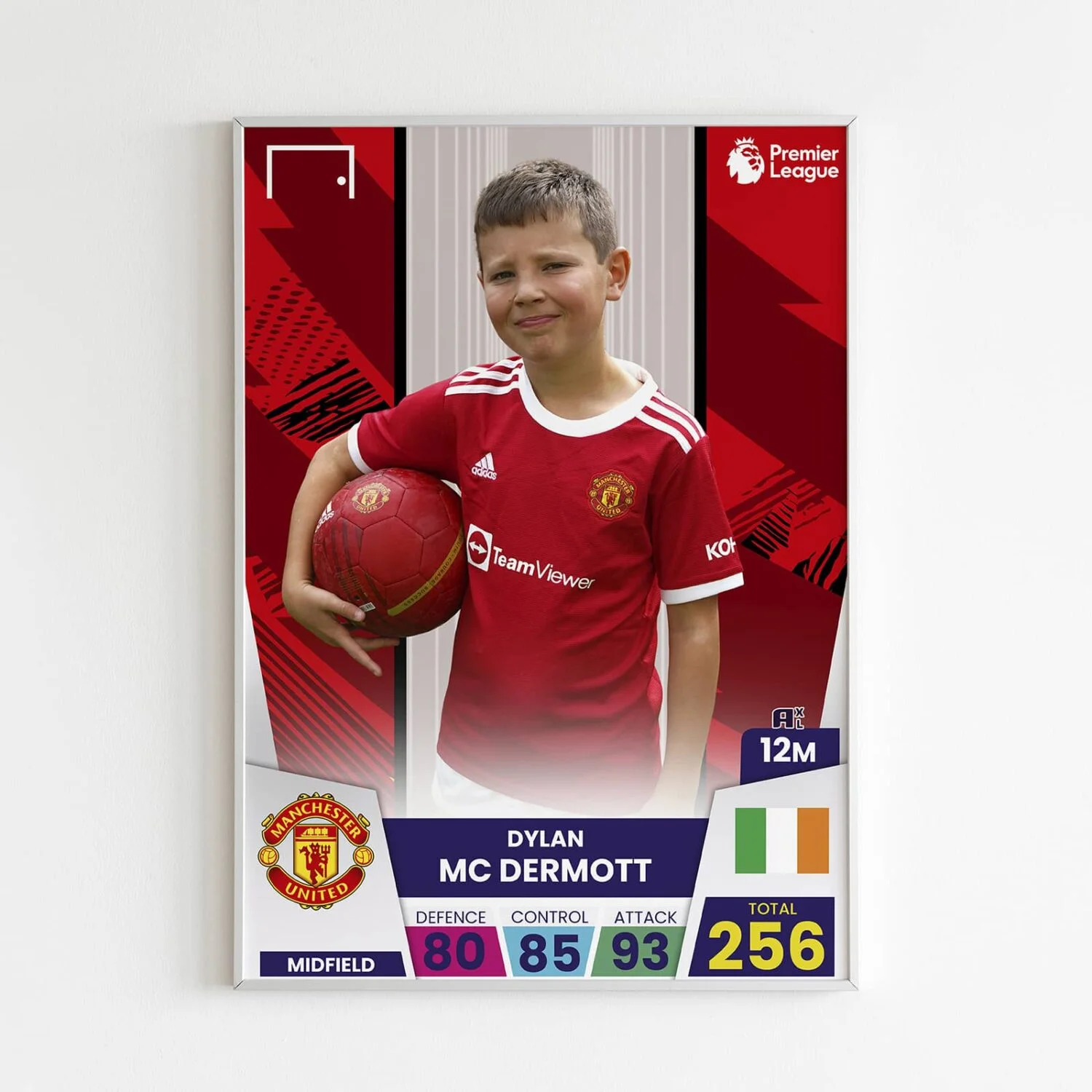 Custom Adrenalyn XL Poster